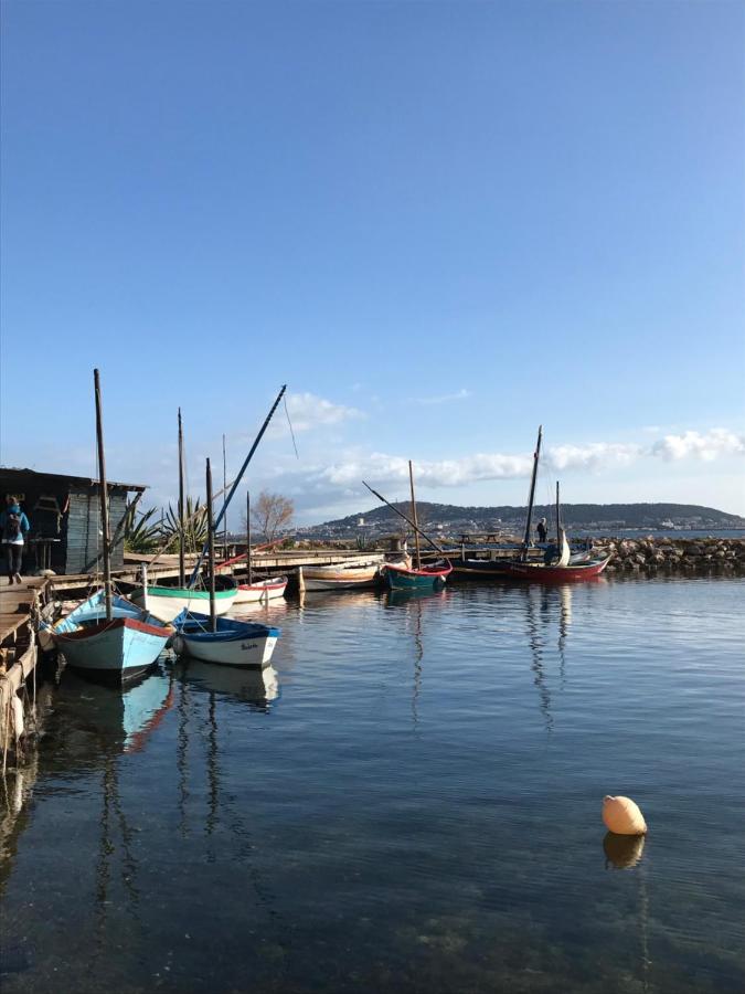 Chambre, Terrasse Et Piscine De L'Impasse Du Pressoir Le Crès Dış mekan fotoğraf